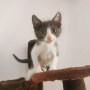 Amy (3)